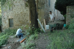 Servicio desinteresado