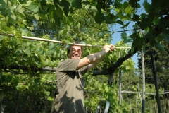 Proyectos de agricultura natural