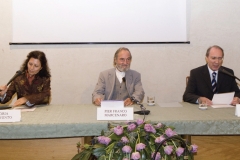 Conferencia de Vicenza (2009)